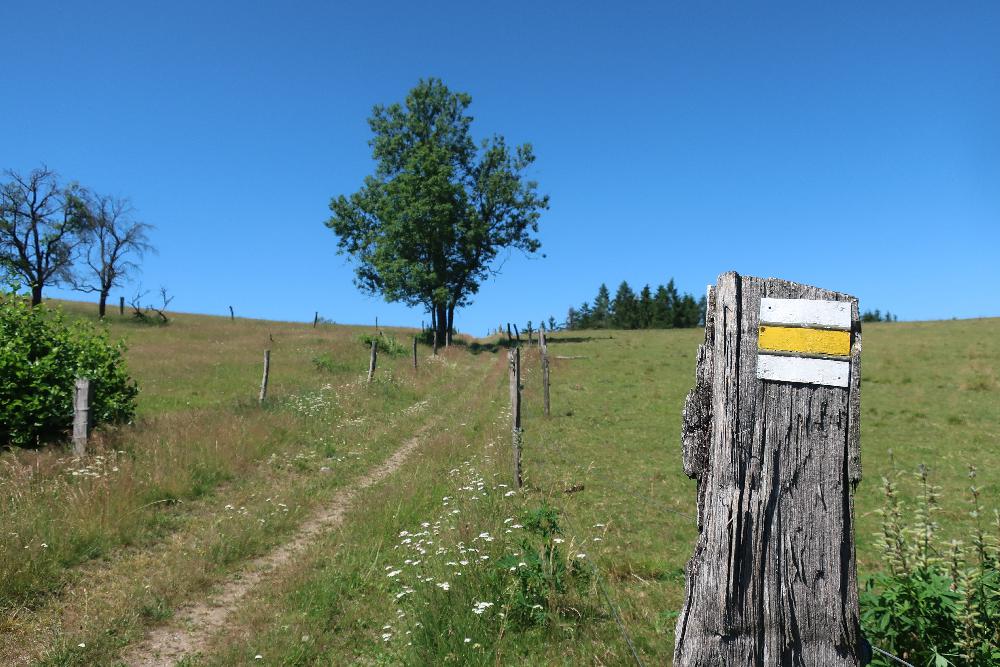 Cesta z Kr�sn� L�py do Kyjova - �esk� �v�carsko