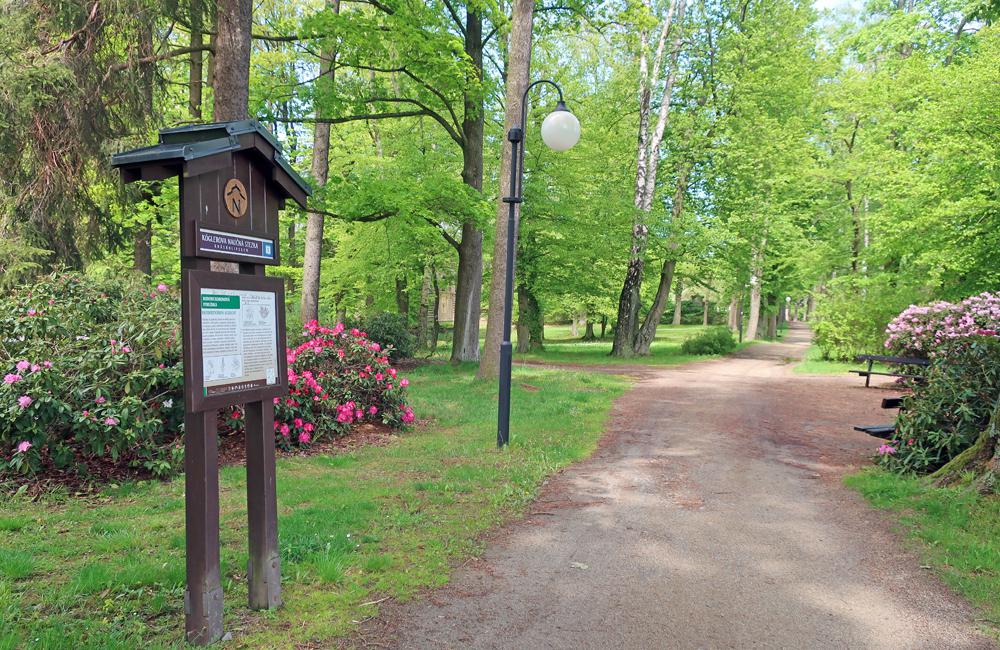 Lesopark Kr�sn� L�pa - �esk� �v�carsko